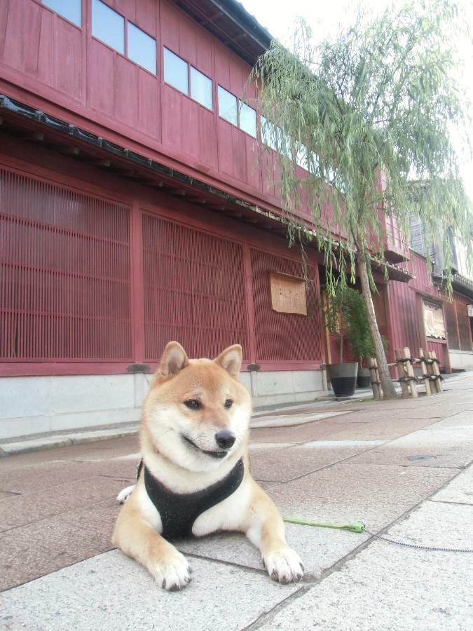 Kanazawa Share House Gaooo Exterior foto